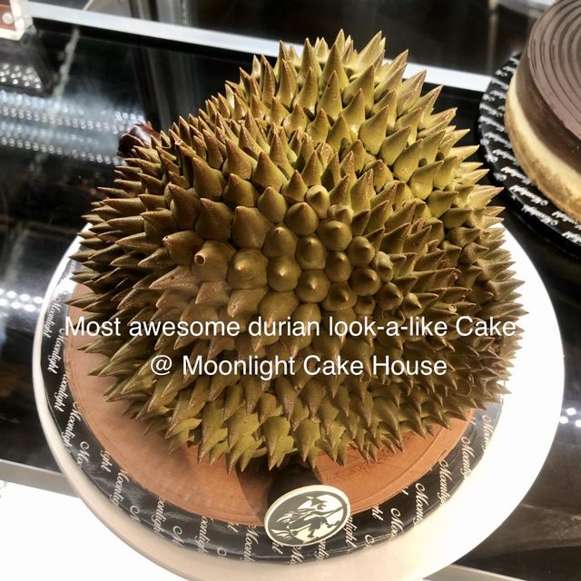Moonlight Cake House