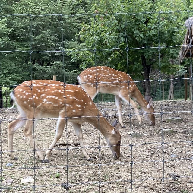 텍스쳐 성수, 그리고 서울숲