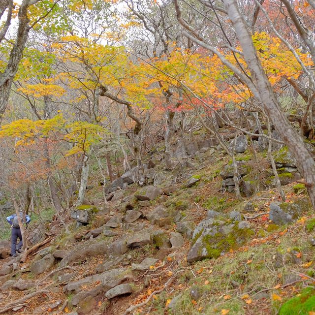 紅葉の赤城山山中