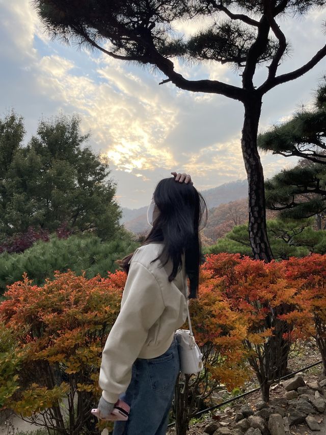 가을 단풍 맛집 :: 화담숲🍂🤍