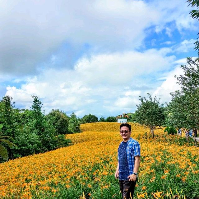 20210901赤科山林家花園金針花況