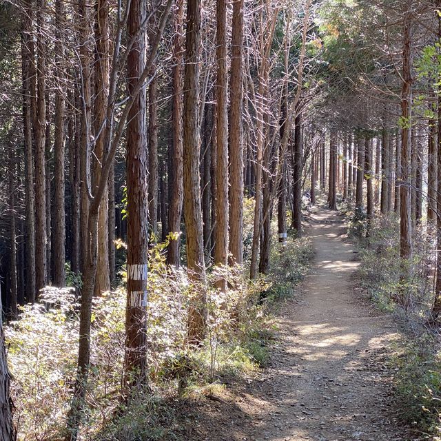 小仏城山〜景信山縦走コース