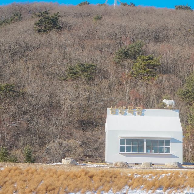 대관령삼양목장 풍경에 압도당했다