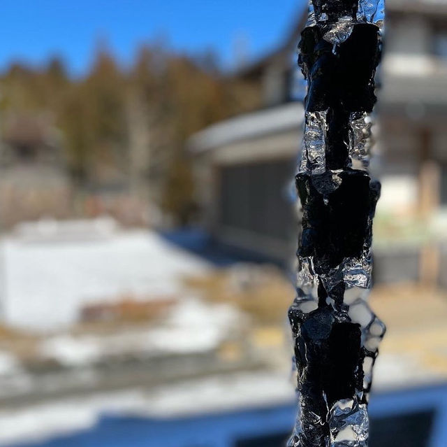 人生一度は世界遺産【高野山】へ