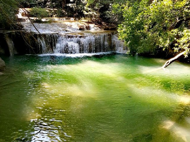 A relaxing 🦈 fish spa at Erawan Falls 💦🌿☘️