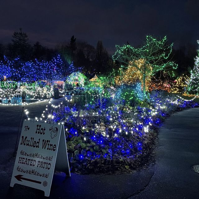 Christmas lights festival at the botanical gardens 