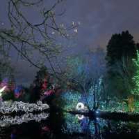 Christmas lights festival at the botanical gardens 