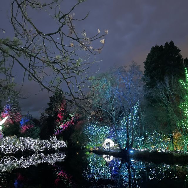 Christmas lights festival at the botanical gardens 