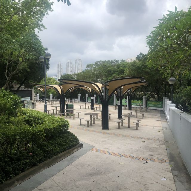 環境舒適嘅市鎮公園