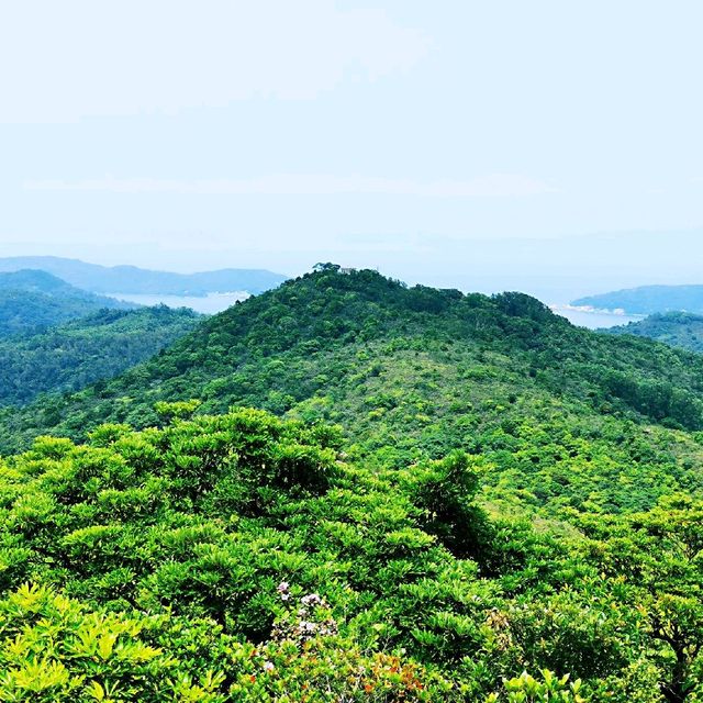 老虎騎石、斜樓嶺墩、大山峒、石屋山