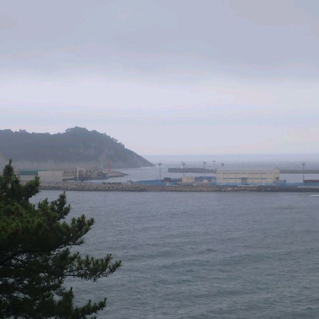 제주 3대 폭포 '정방폭포'