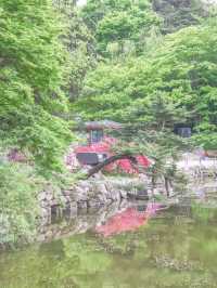 서울 데이트코스 추천, 창경궁