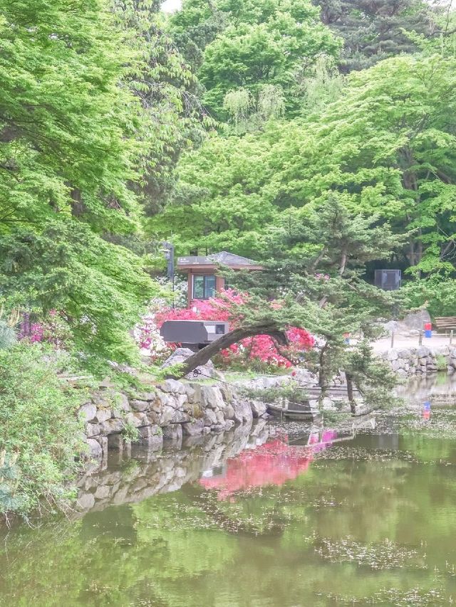 서울 데이트코스 추천, 창경궁