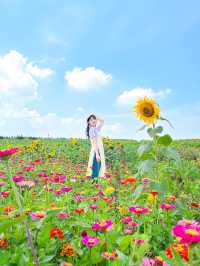 가장먼저 만나본 팜랜드의 해바라기🌻