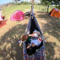도심 속의 캠핑, ⛺️천안 신방공원에서 반려견과 즐기는 여름 소풍