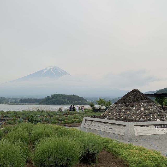 Best lake to view Mount Fuji 🗻 