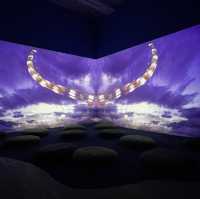 去大館扮去teamlab - 《潛入你眼簾— 皮皮樂迪‧里思特》,