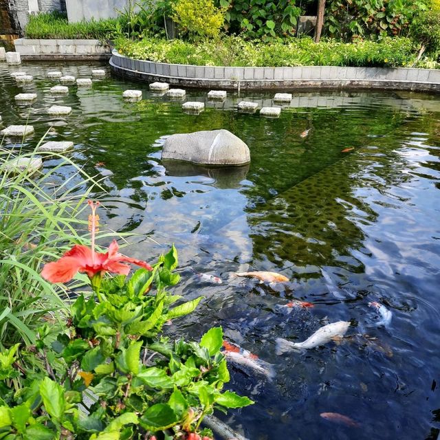 坑口文曲里風景