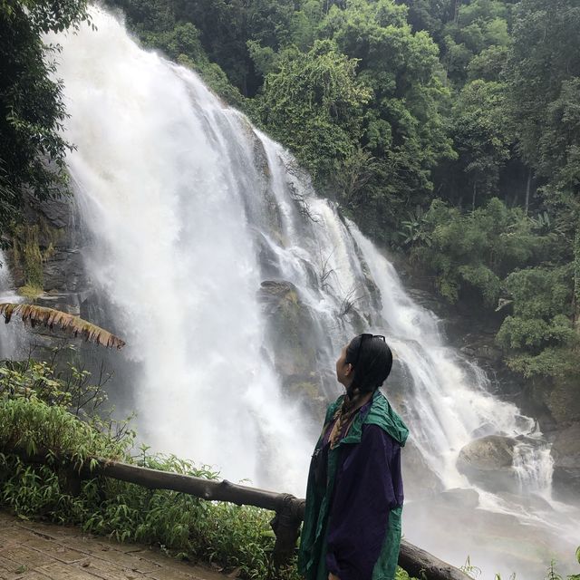 breathtaking waterfall in the national park 