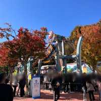 韓国【エバーランド】テーマパークで愉しむ韓国の秋🍁