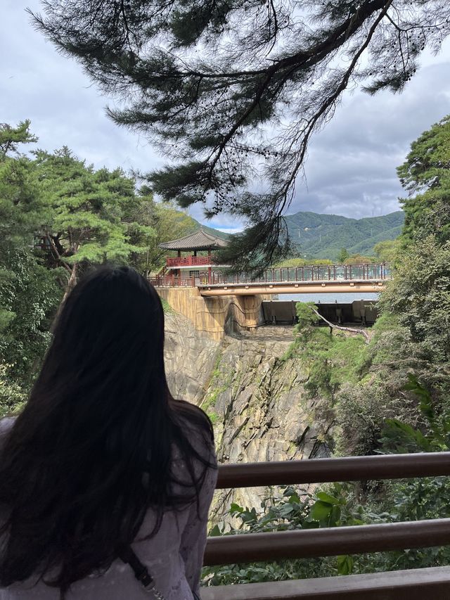 낮에도 밤에도 다른 매력으로 예쁜 제천 의림지👐