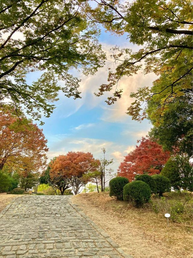 국내 단풍여행지 추천