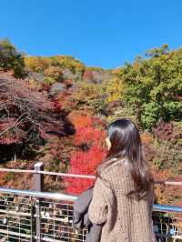 가을 여행 명소 :: 곤지암 화담숲🍁🍂