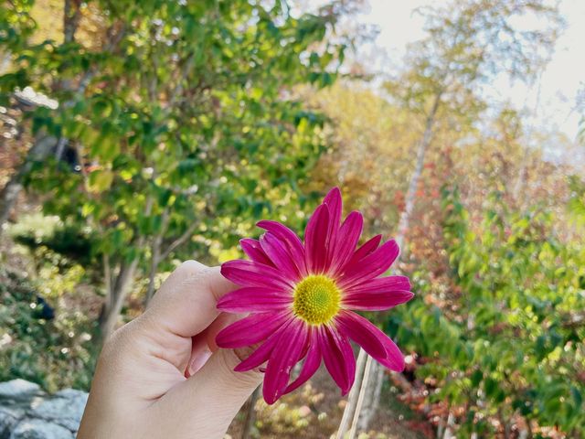스페인 마을에서 꽃구경하기🌸🌺