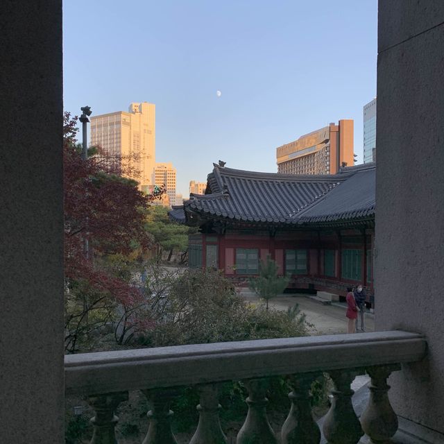 덕수궁 석조전에서 만나는 단풍 
