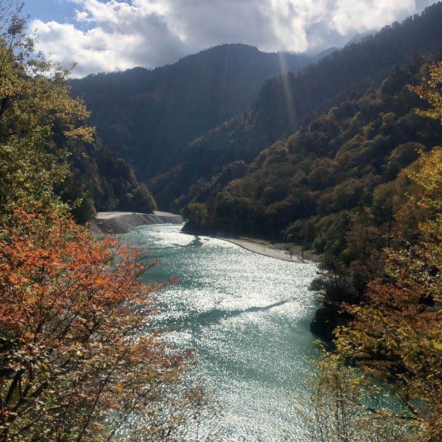 楓葉絕景