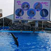 พิพิธภัณฑ์สัตว์น้ำท่าเรือนาโกย่า
