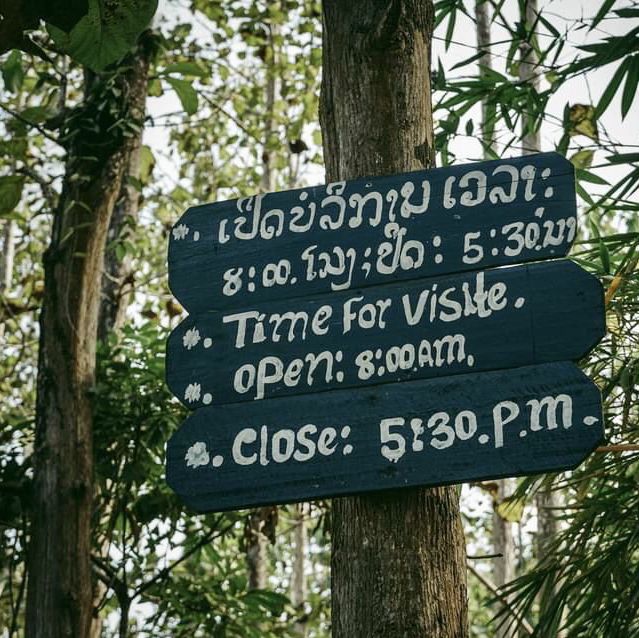 Exploring the Nature At Tad Sae Waterfalls 
