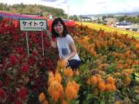 Nakafurano Flower Park