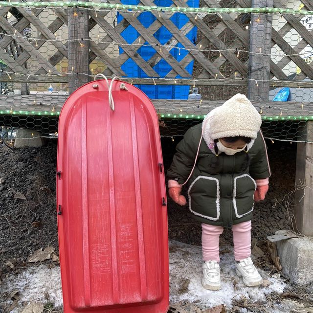 원주 고니골 눈썰매장☃️