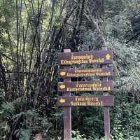 สะพานไม้ ณ อุทยานคลองวังเจ้า