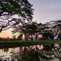 Riding Paddle Boat in Taiping Lake Gardens