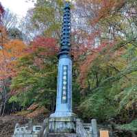 鋪天蓋地的絕美紅葉 – 八瀨紅葉小徑