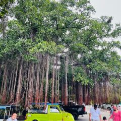Ayutthaya Heritage User Photo