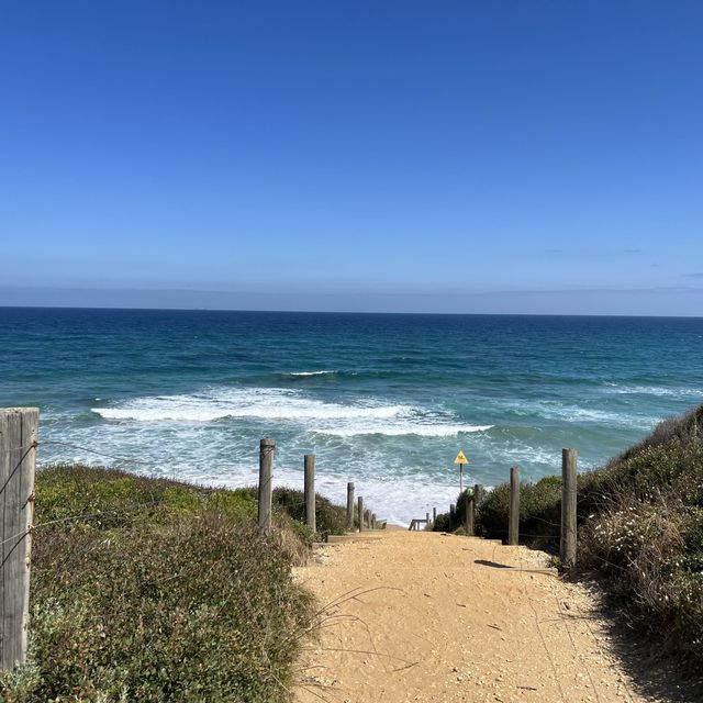 Beach in Anglesea 