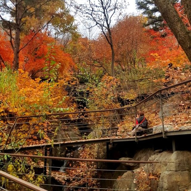 Colours of autumn at Hwadam-sup