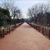 Qingfeng Park - Changzhou