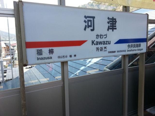 最早櫻花靜岡伊豆河津櫻