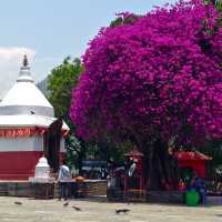 most popular tourist destination in Nepal