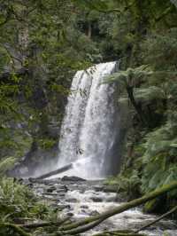 The wind blows along the Great Ocean , enjoy the scenery while hiking.