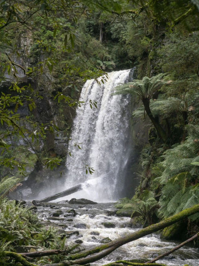 The wind blows along the Great Ocean , enjoy the scenery while hiking.