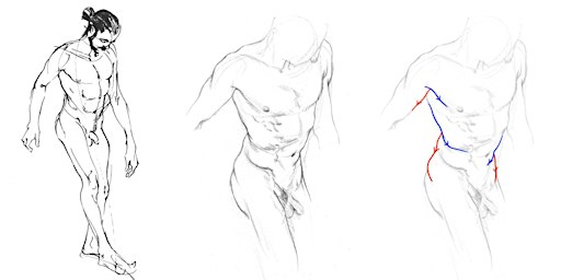 Tutored Life Drawing: Drawing Volume | Draw Brighton