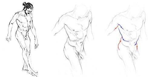 Tutored Life Drawing: Drawing Volume | Draw Brighton