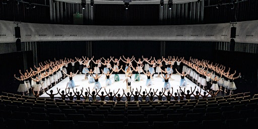 Winterproject Dans | Amare, Conservatoriumzaal 4e verdieping - Den Haag