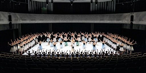 Winterproject Dans | Amare, Conservatoriumzaal 4e verdieping - Den Haag