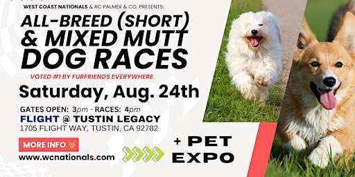 All-Breed (short) & Mixed Dog Races | WC Nationals TM | Mess Hall at FLIGHT